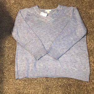 CJ Banks V neck sweater